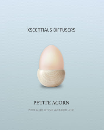 Petite Acorn Diffuser