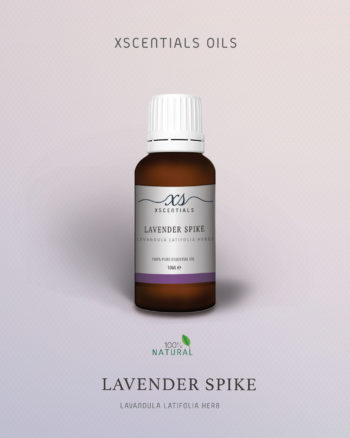 Lavender spike