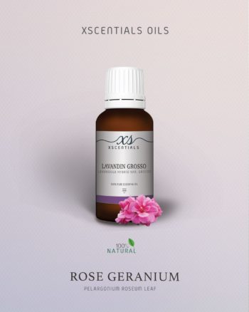 Rose Geranium
