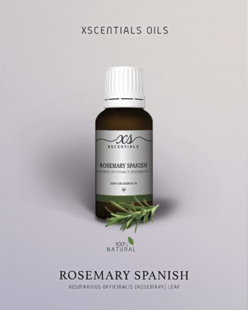 Rosemary Spanish
