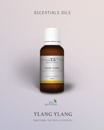 Ylang Ylang
