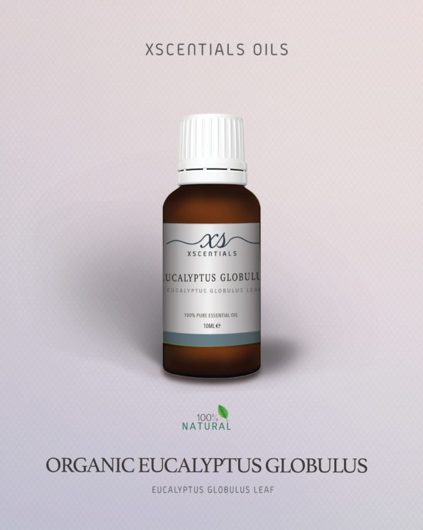 Organic Eucalyptus Globulus