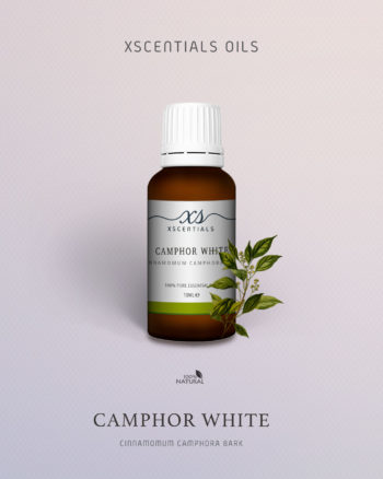 Camphor white