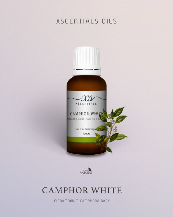 Camphor white