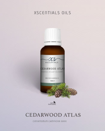 Organic Cedarwood Atlas