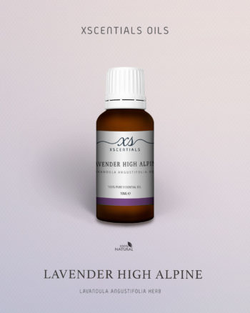 Lavender High Alpine