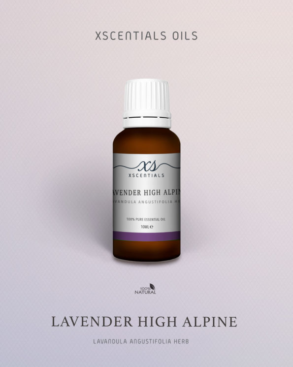 Lavender High Alpine