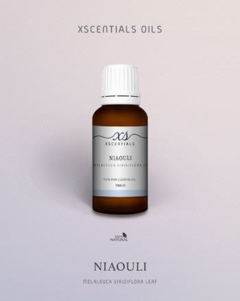Niaouli