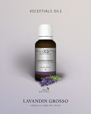 Lavandin Grosso