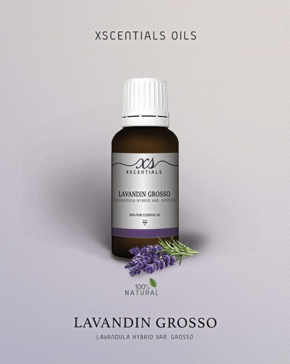Lavandin Grosso