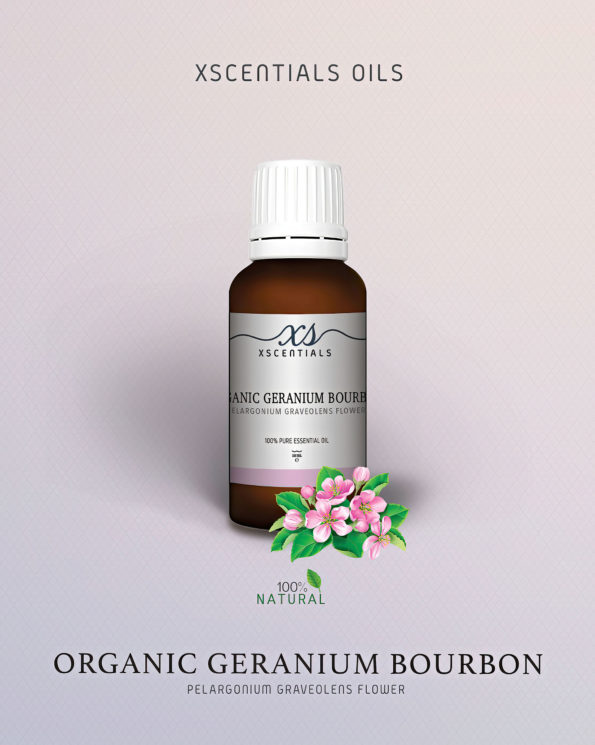 Organic Geranium Bourbon