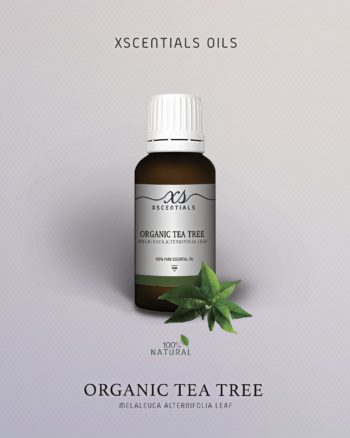 Organic Tea Tree