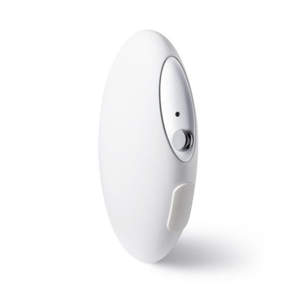 Pebble Portable Beauty Diffuser