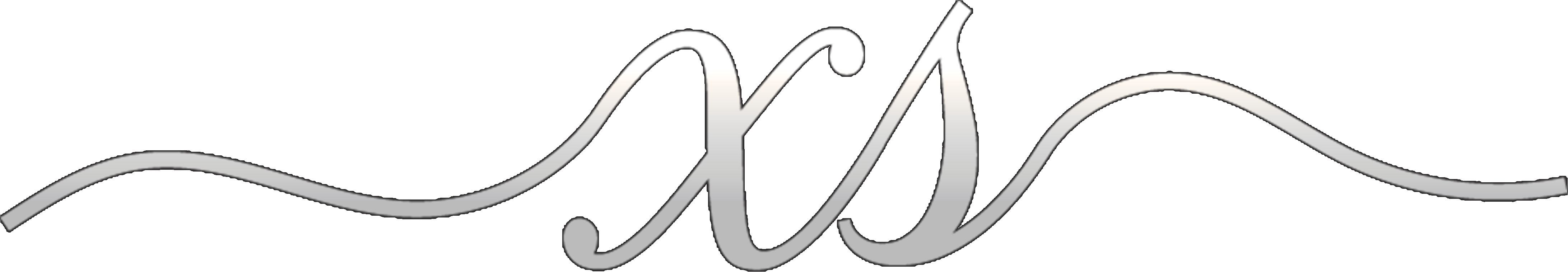 logo-light-xsc-single@2x